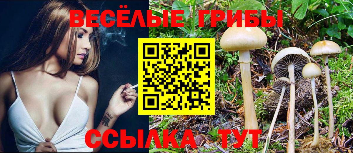 Архангельск  Псилоцибиновые грибы MAGIC MUSHROOMS  Вход с VPN 